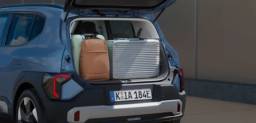 Generously sized trunk