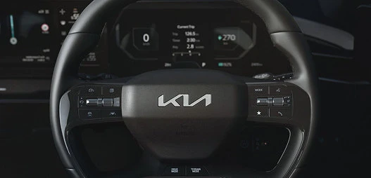 Steering wheel with illuminated Kia emblem*